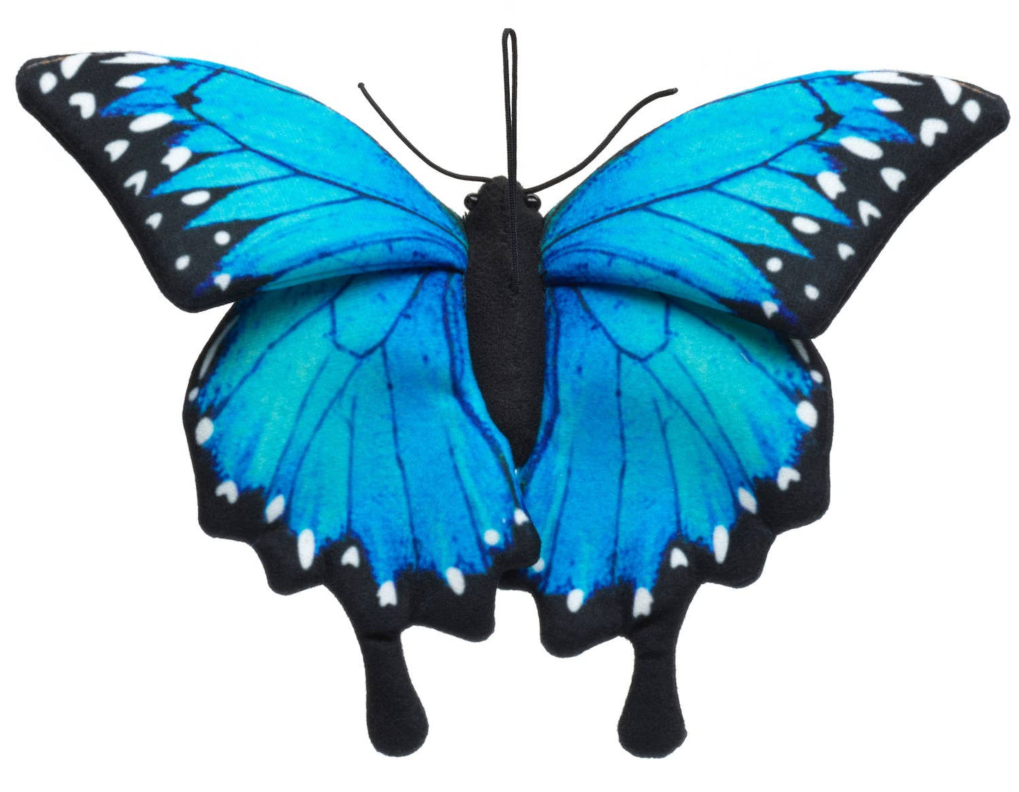 Blue butterfly (with loop) - 26 cm (width)