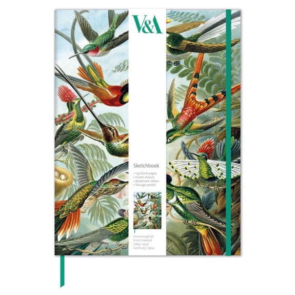 Museums and Galleries, Sketchbook, Trochilidae Notebook