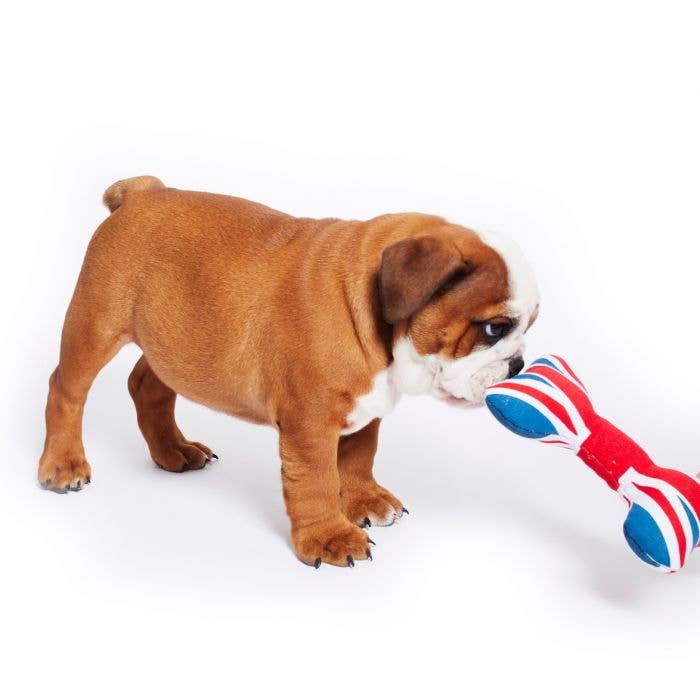 Union Jack Dog Bone Plush Toy UK London size Mini