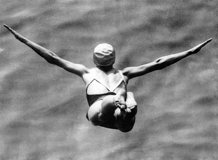 Swan dive blank greetings card