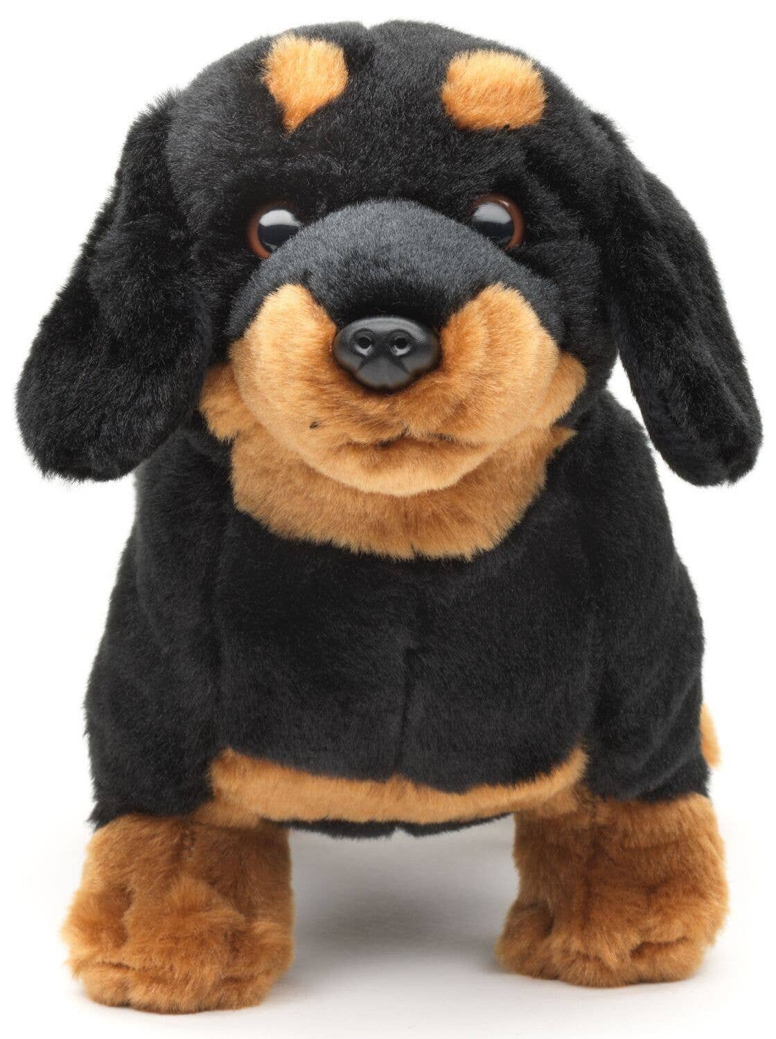 Dachshund, standing (without leash) - cuddly/plush toy