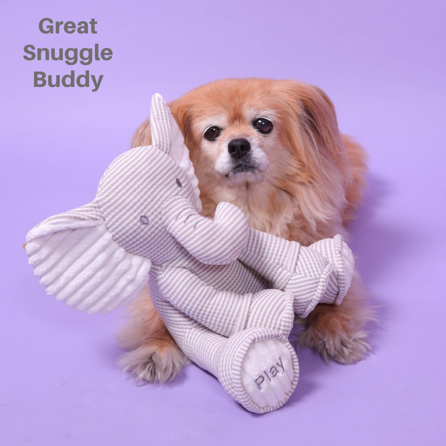 My Sensory Elephant Plush Dog Toy