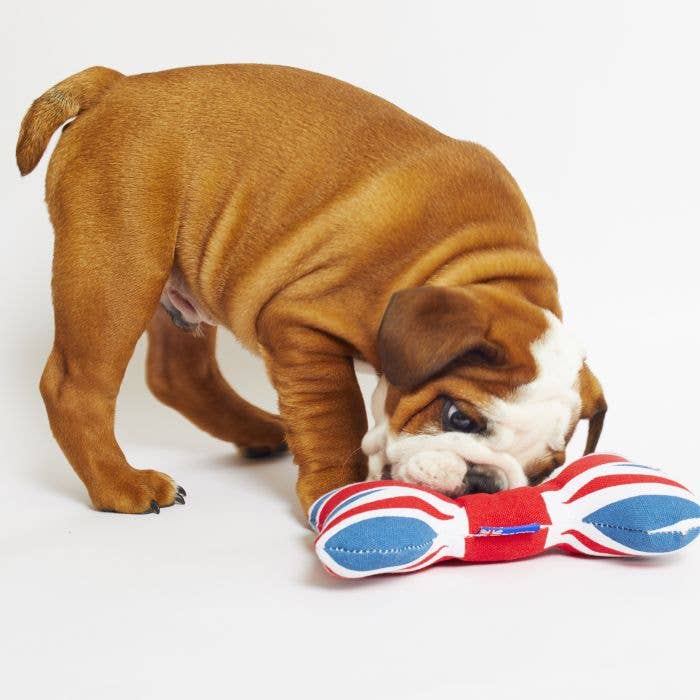 Union Jack Dog Bone Plush Toy UK London size Mini