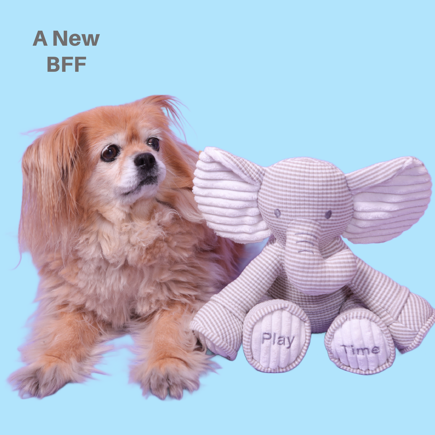 My Sensory Elephant Plush Dog Toy
