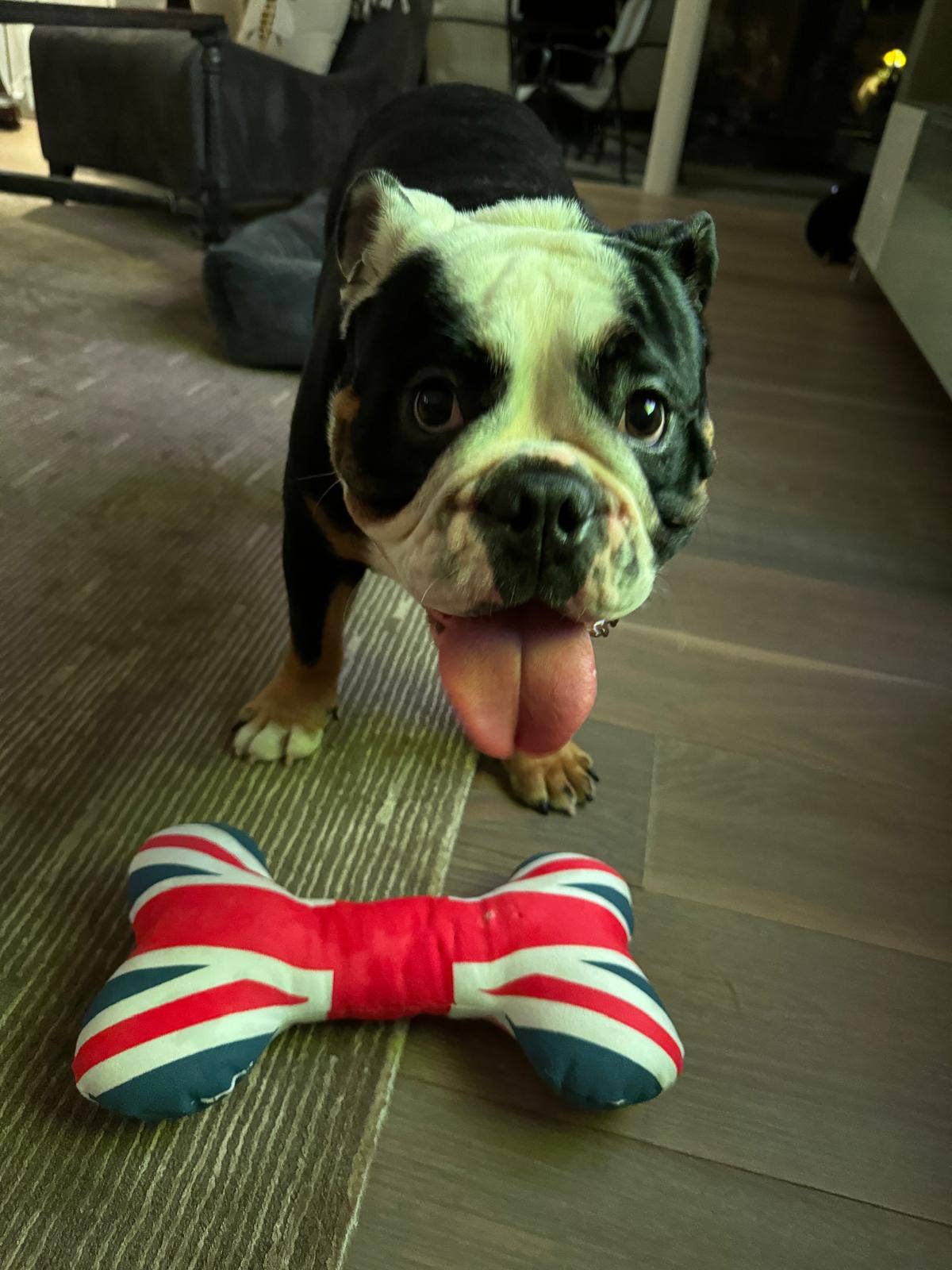 Union Jack Dog Bone Plush Toy UK London size Mini