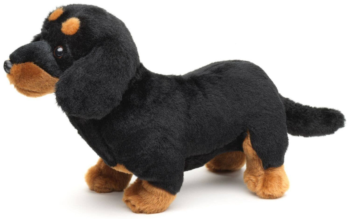 Dachshund, standing (without leash) - cuddly/plush toy