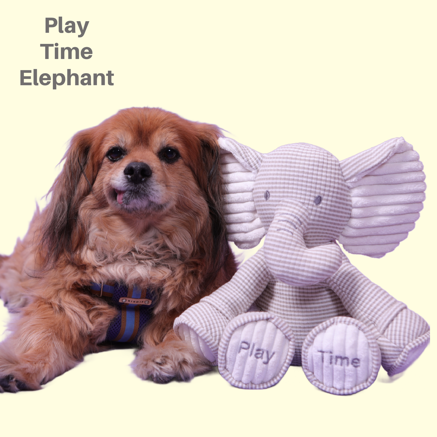My Sensory Elephant Plush Dog Toy
