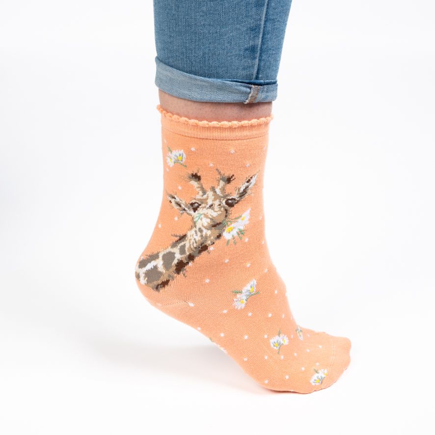 Wrendale, Socks, Size 4 - 8, Giraffe, 'Flowers'