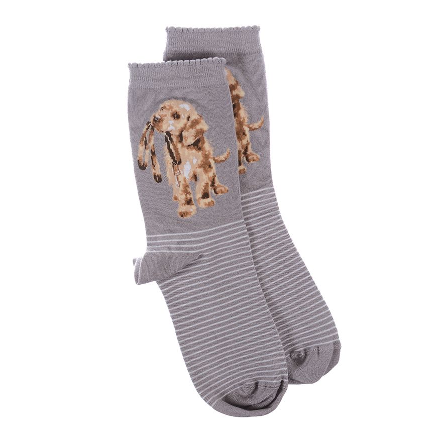 Wrendale, Socks, Size 4 - 8, Grey Puppy - Hopeful