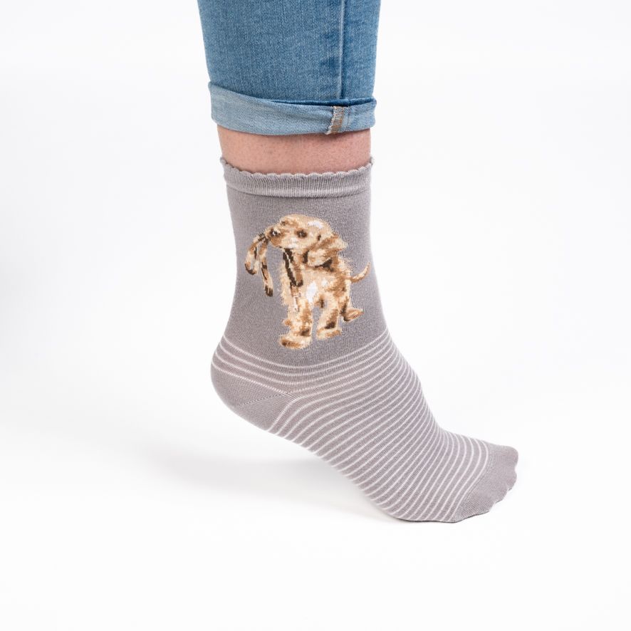 Wrendale, Socks, Size 4 - 8, Grey Puppy - Hopeful