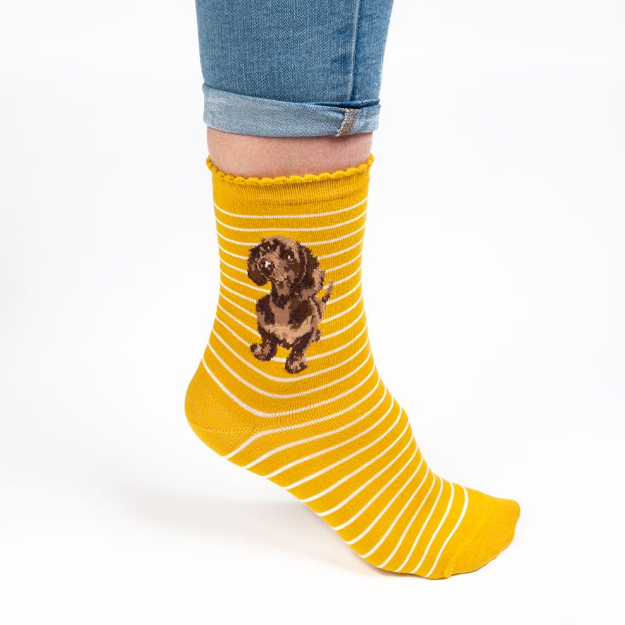 Wrendale, Socks, Size 4 - 8, Sausage Dog, Little One