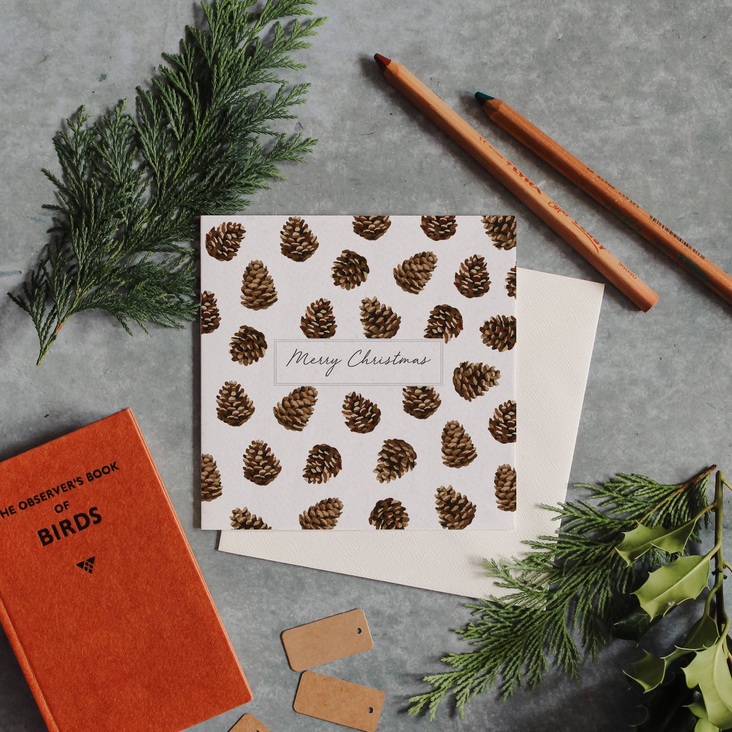 Card, Sophie Brabbins, Christmas Pinecone Watercolour Sustainable Greetings Card
