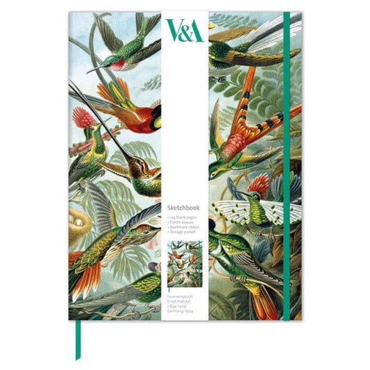 Museums and Galleries, Sketch book, Trochilidae Notebook