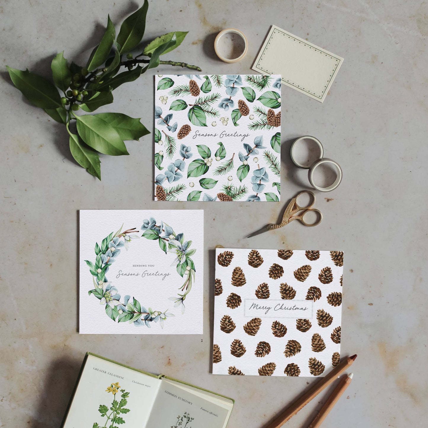 Card, Sophie Brabbins, Christmas Pinecone Watercolour Sustainable Greetings Card
