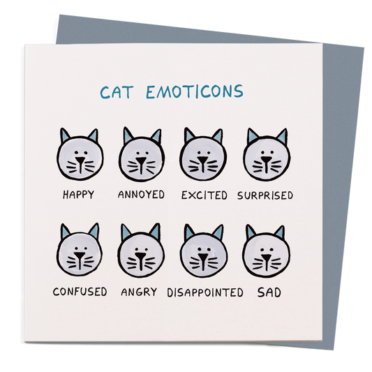 Cat Emoticons | Humour Greeting Card