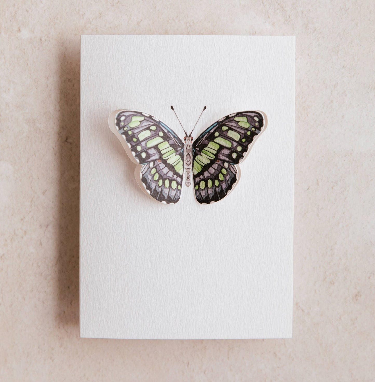 Card, Sophie Brabbins, Green Malachite Pop Out Butterfly Greetings Card