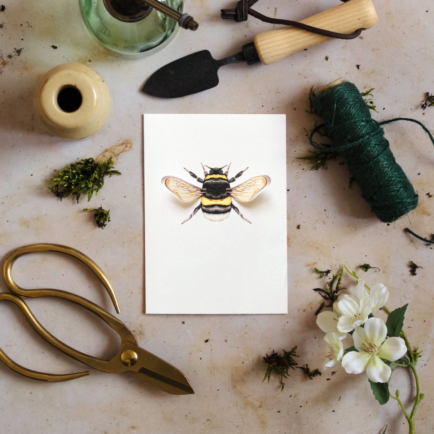 Card, Sophie Brabbins, Bumble Bee Pop Out Greetings Card