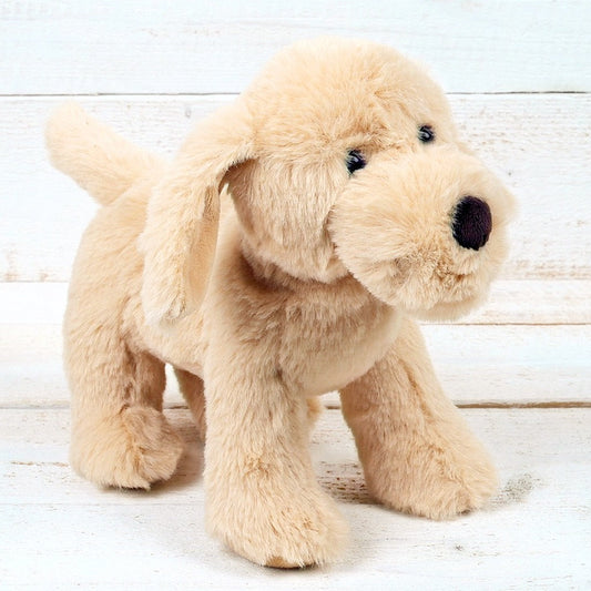 Jomanda, Puppy Dog Golden Small Plush Toy - 20cm