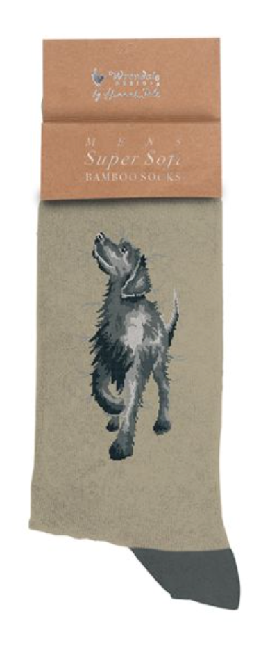 Wrendale, Socks, Size 7 - 11, Labrador, Walkies