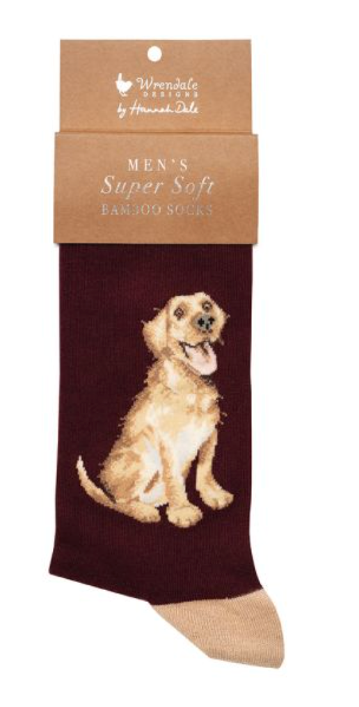 Wrendale, Socks, Size 7 - 11, Good As Gold - Labrador