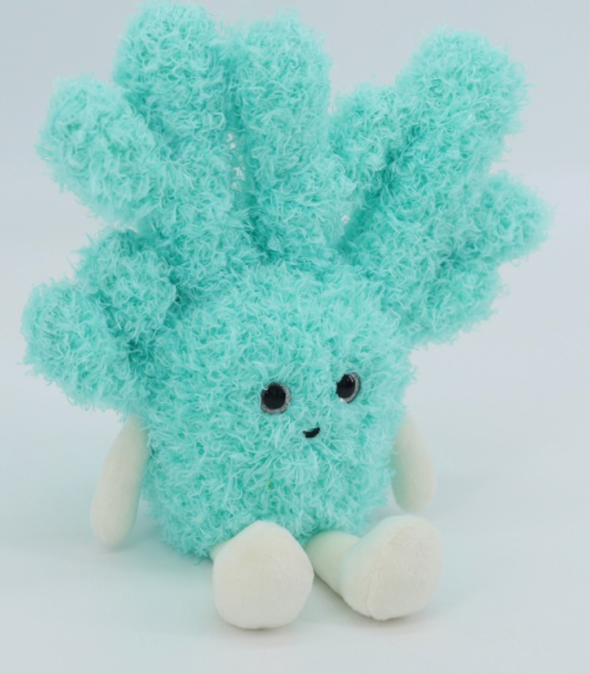 Jomanda, Coral Turquoise