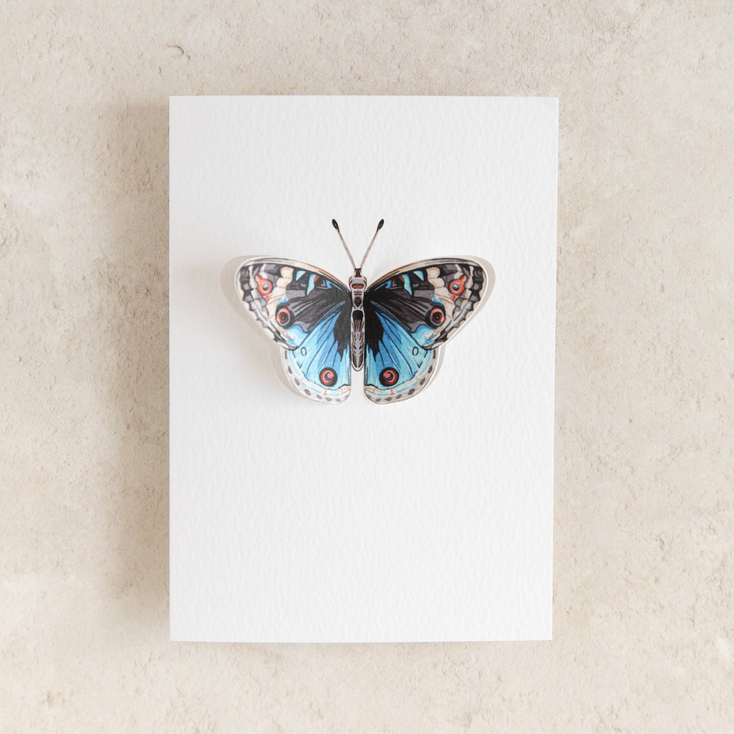 Card, Sophie Brabbins, Blue Pansy Pop Out Butterfly Greetings Card