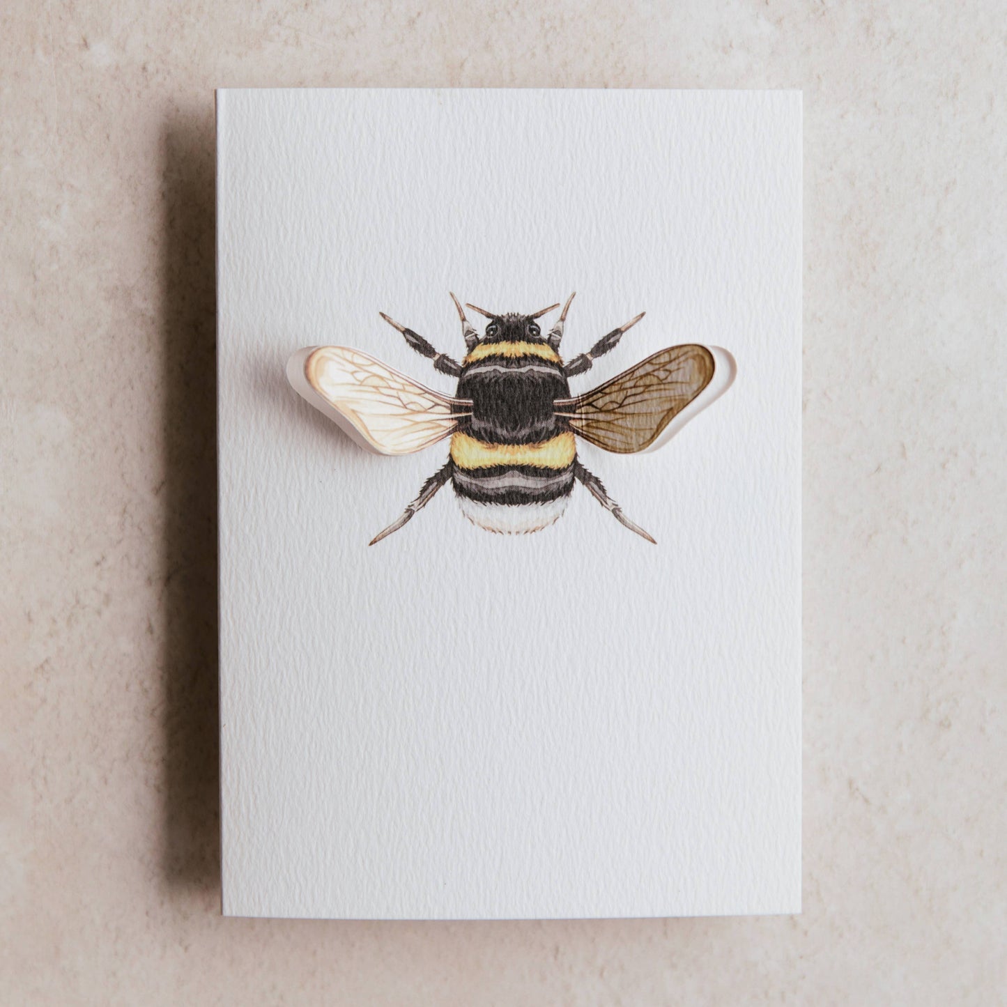 Card, Sophie Brabbins, Bumble Bee Pop Out Greetings Card