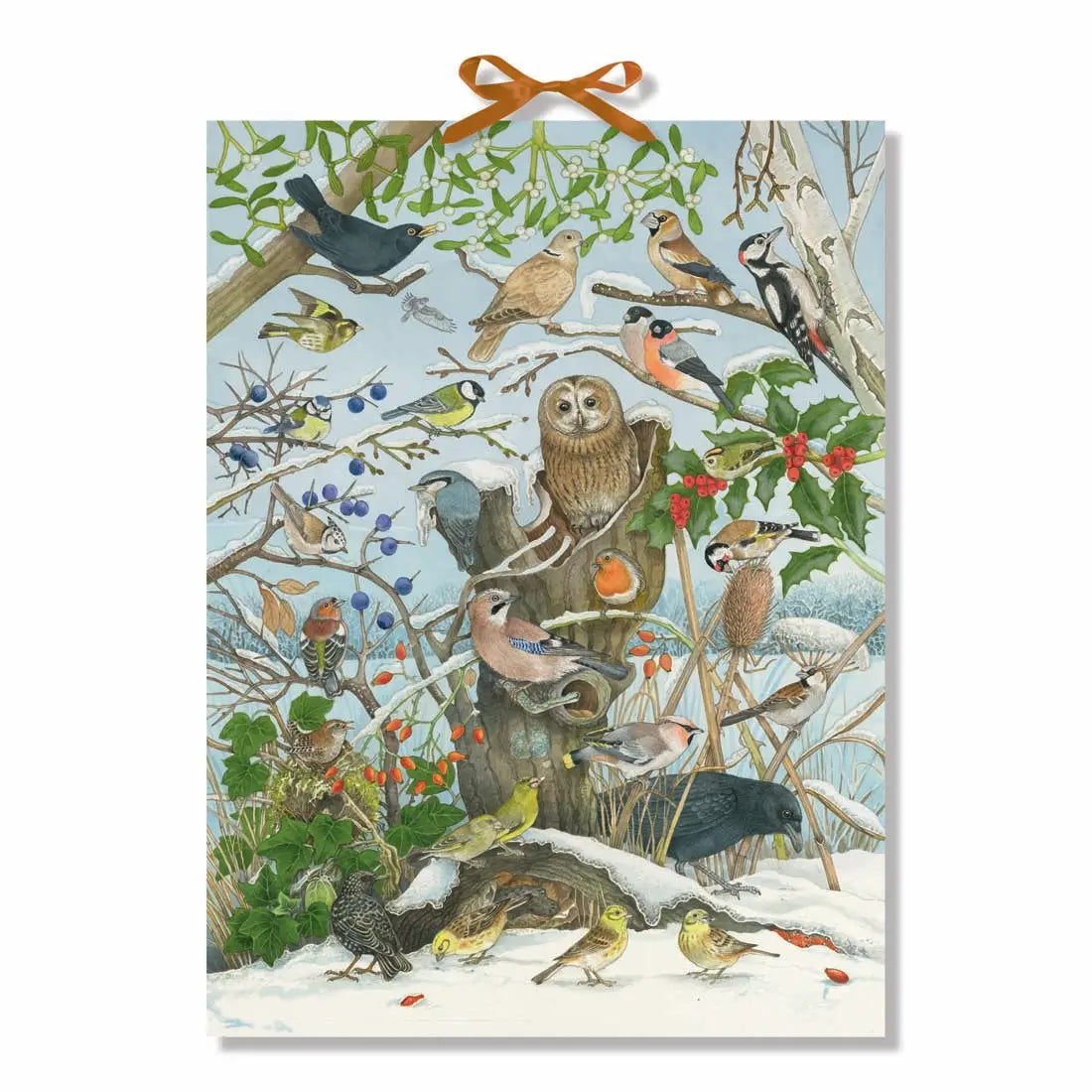 AGD, Advent calendar, Our Birds In Winter Birdsong Sounds