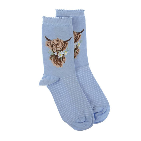 Wrendale, Socks, Size 4 - 8, Cow, Daisy Highland Coo