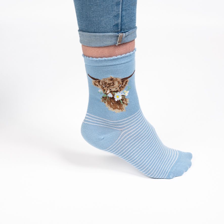 Wrendale, Socks, Size 4 - 8, Cow, Daisy Highland Coo