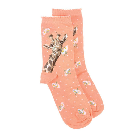 Wrendale, Socks, Size 4 - 8, Giraffe, 'Flowers'