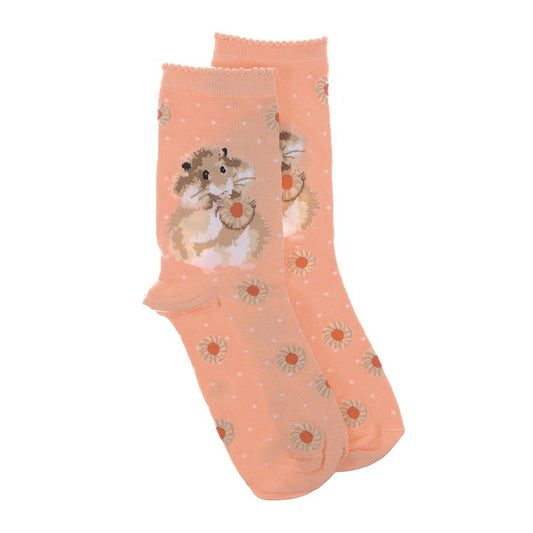 Wrendale, Socks, Size 4 - 8, Hamster, Diet Starts Tomorrow