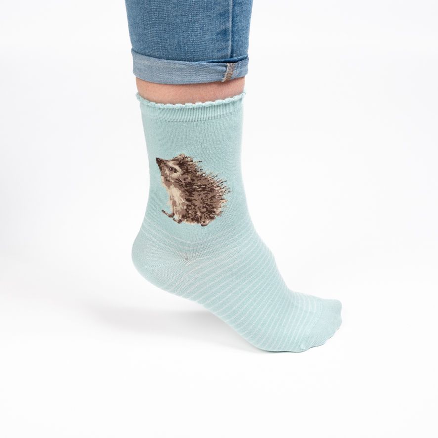 Wrendale, Socks, Size 4 - 8, Hedgehog - Hedgehugs