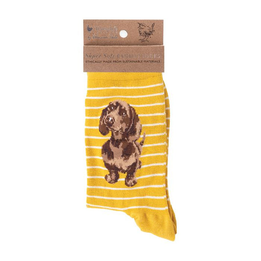 Wrendale, Socks, Size 4 - 8, Sausage Dog, Little One
